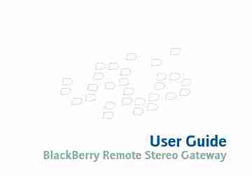 Blackberry Network Card MAT-17698-001-page_pdf
